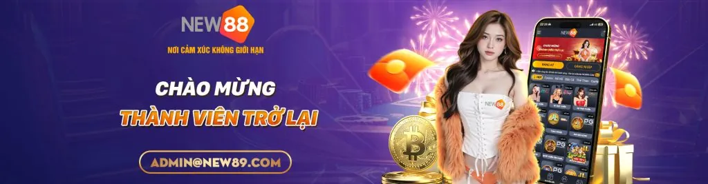 Hướng dẫn sử dụng new88bi code