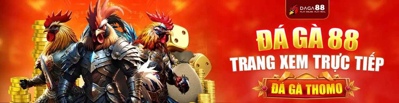 Sảnh Đá Gà Trực Tuyến Hấp Dẫn tại new88bi code